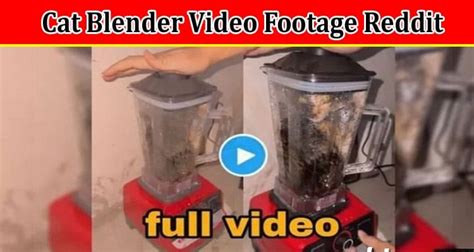 cat in blender twitter full video|The Truth About The Cat In The Blender Video On。